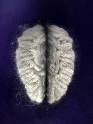 wooly brain